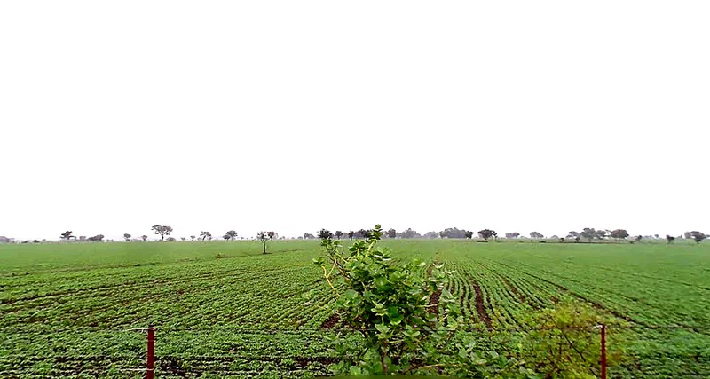Agricultural Land in Nipaniya jat, Bhopal