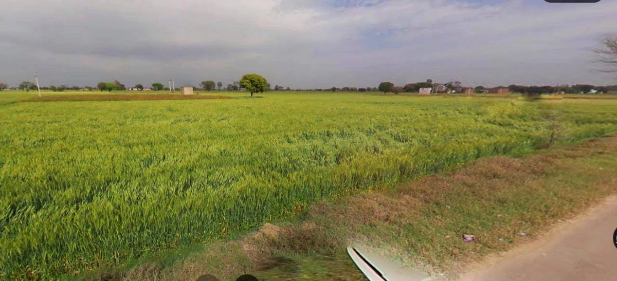 Lucknow, Uttar Pradesh, India