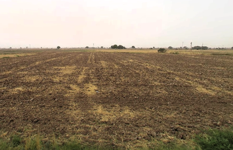 Luhari, Haryana 124108, India