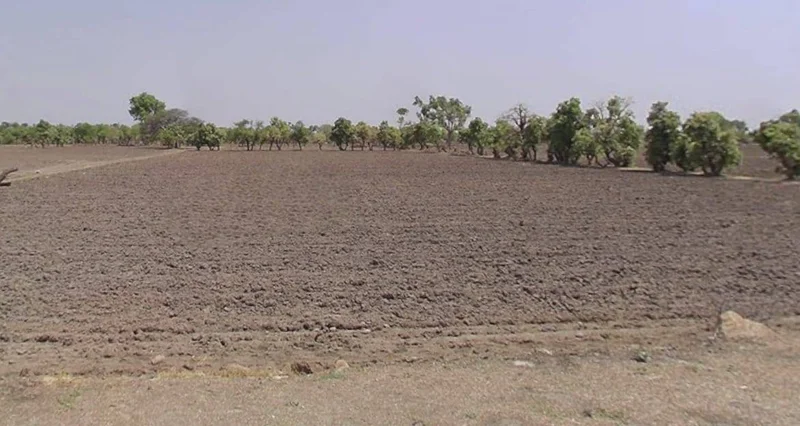 Alote, Madhya Pradesh 457114, India preview 3