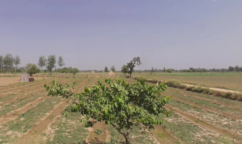 Budaun Rd, Chandpur, Uttar Pradesh, India preview 2