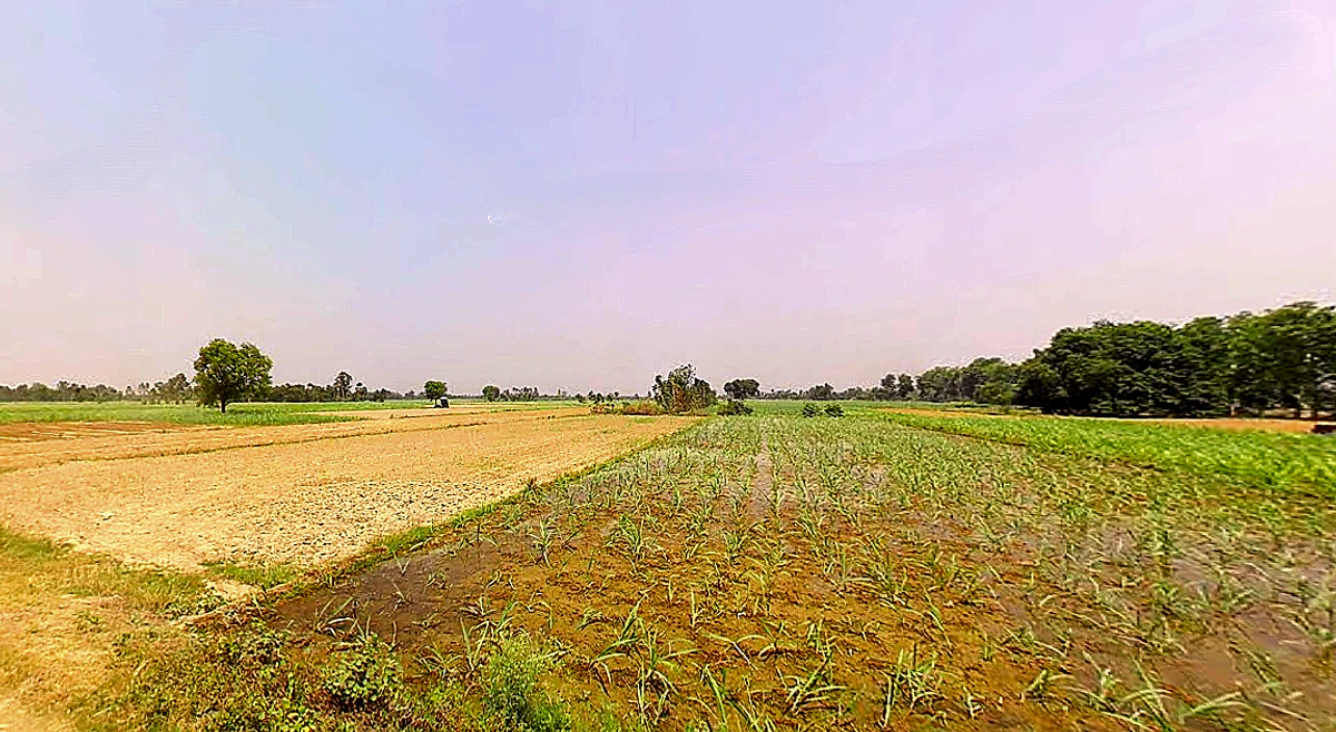 Sirsi, Uttar Pradesh 244301, India