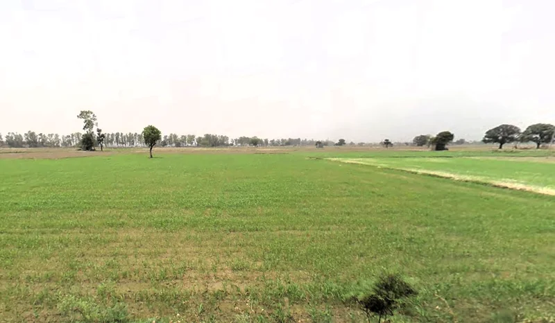 Begah, Haryana, India preview 2