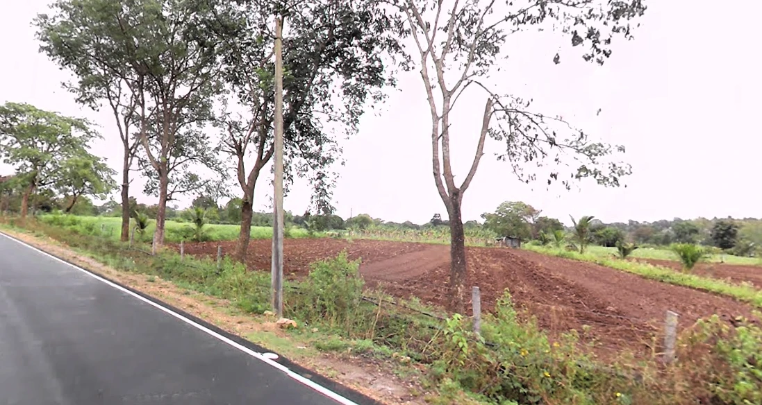 Begurjungle, Karnataka 571116, India