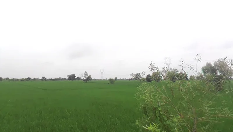 Bachhgaon, Uttar Pradesh 283204, India preview 3