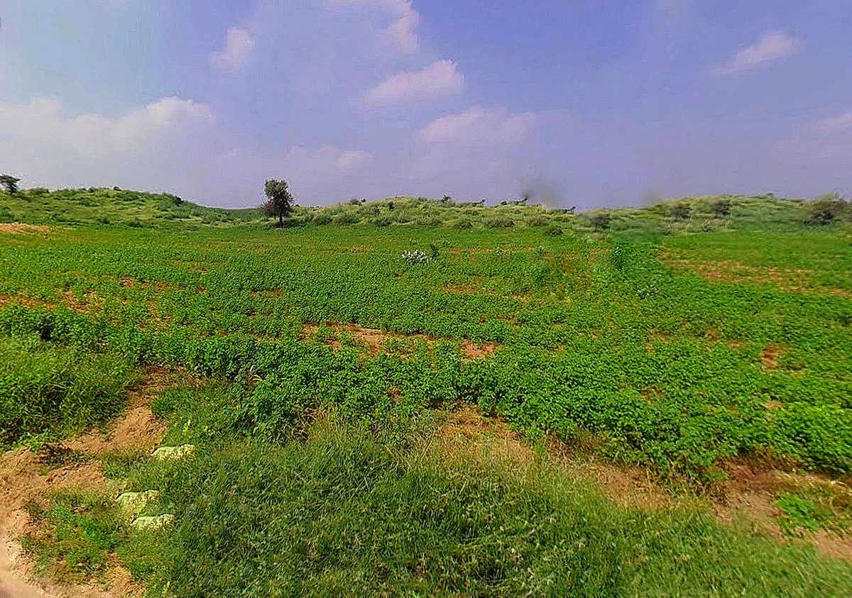 Agricultural Land in Patna,bihta, village , Patna