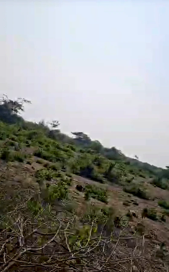 F52V+Q5P, Lakh Saneeja, Rajasthan 325204, India