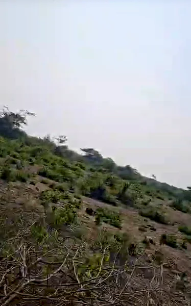 F52V+Q5P, Lakh Saneeja, Rajasthan 325204, India