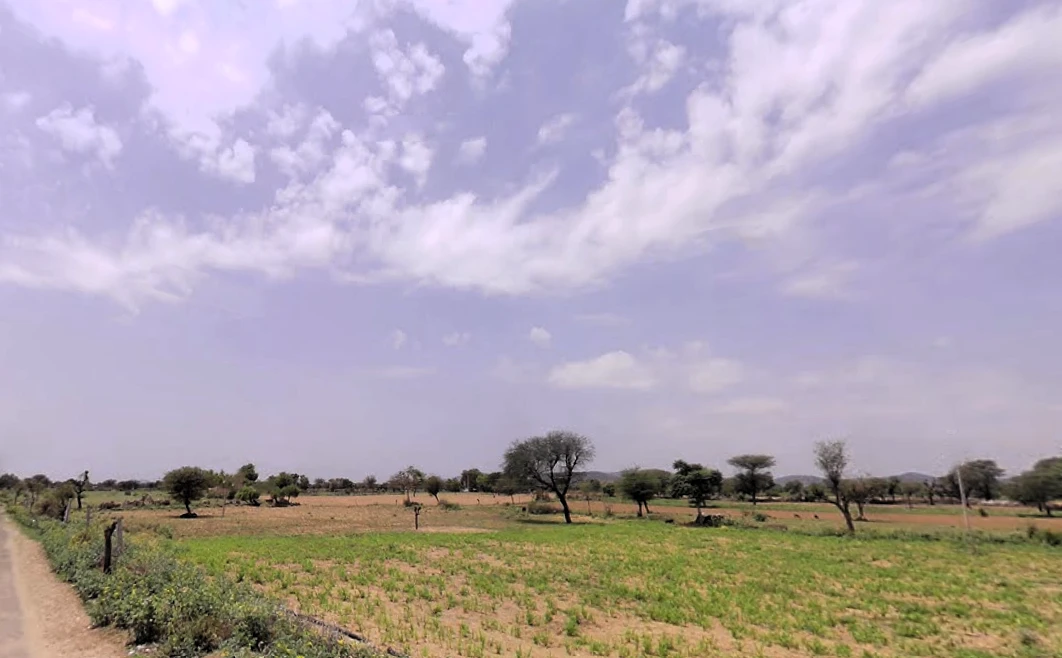 Agricultural Land in Mahendragarh/dholi, Mahendragarh