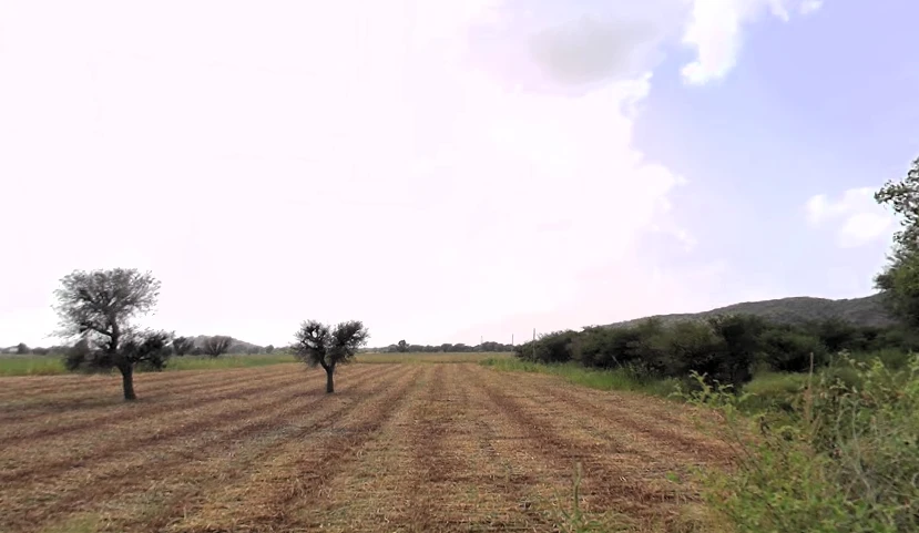 Agricultural Land in Mahendragarh/manpura, Mahendragarh