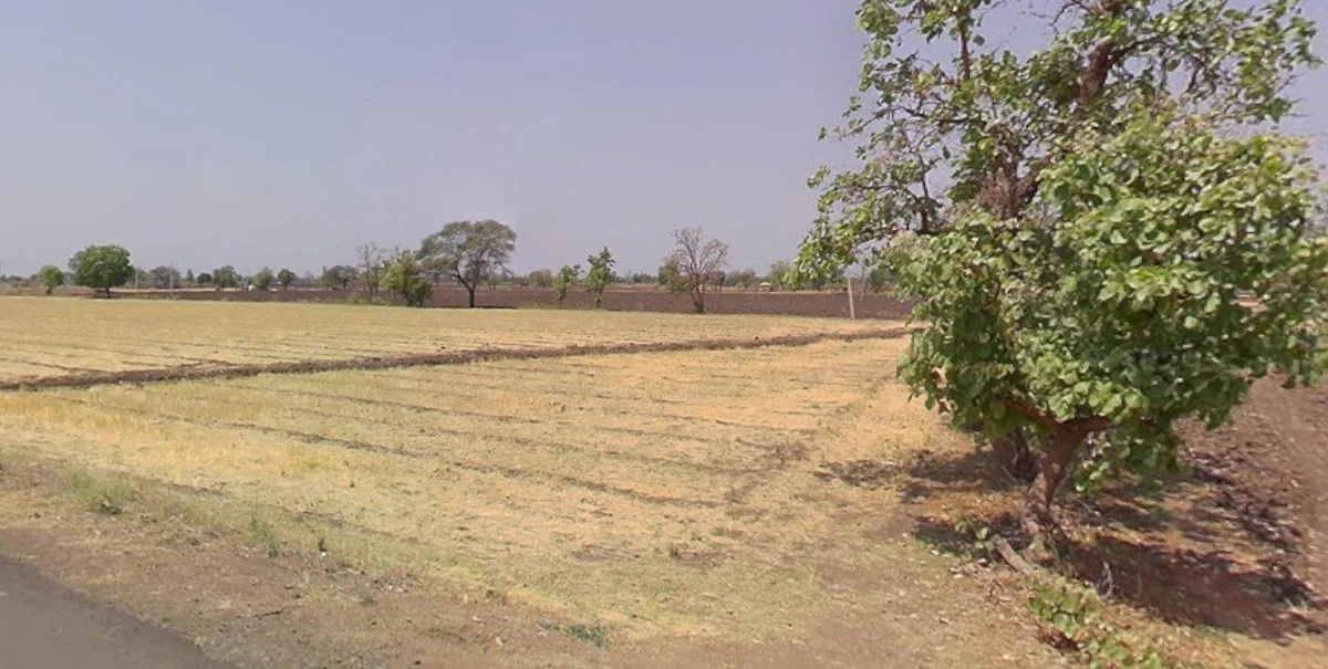 Narsinghpur, Madhya Pradesh 487001, India