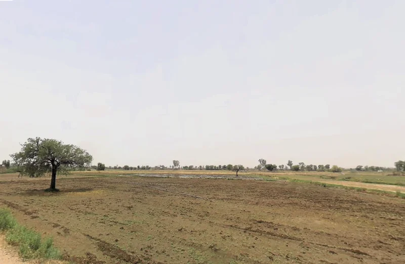 Jharli, Haryana 124106, India preview 3