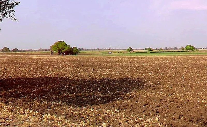 Mangaliya, Madhya Pradesh 465226, India preview 3