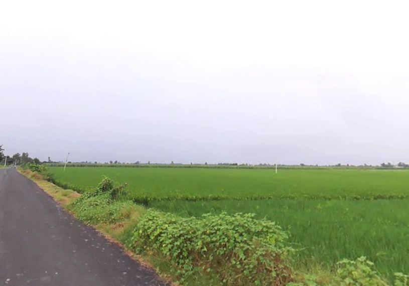 Bilaspur, Uttar Pradesh 244921, India