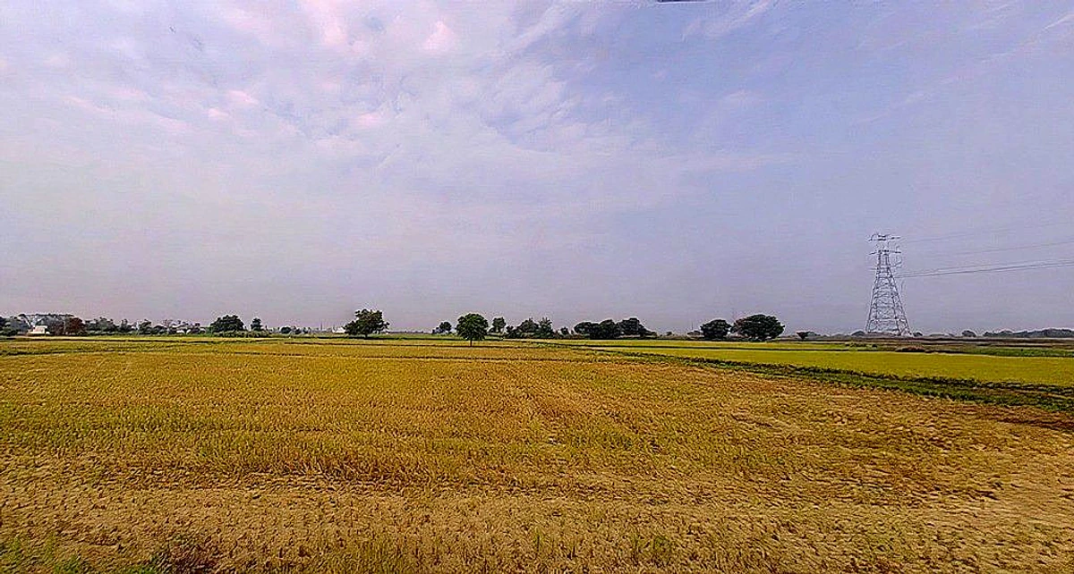 Jattari, Uttar Pradesh 202137, India