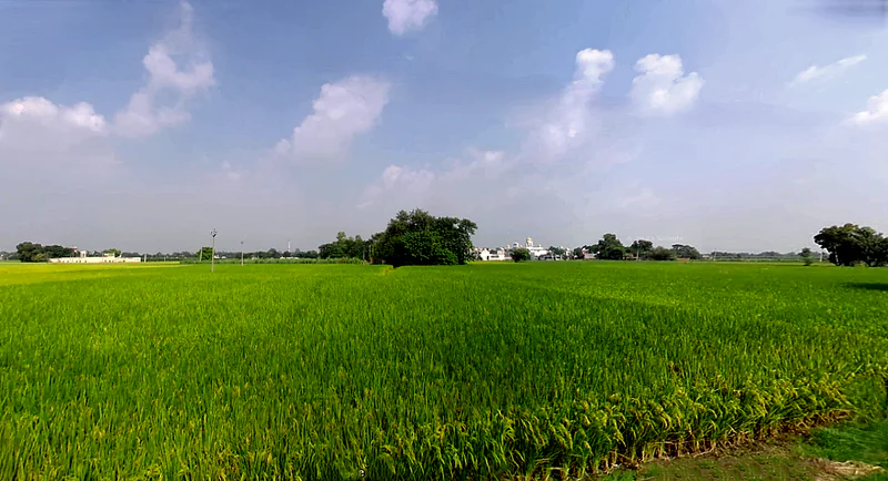 Biharigarh, Uttar Pradesh 247662, India preview 3