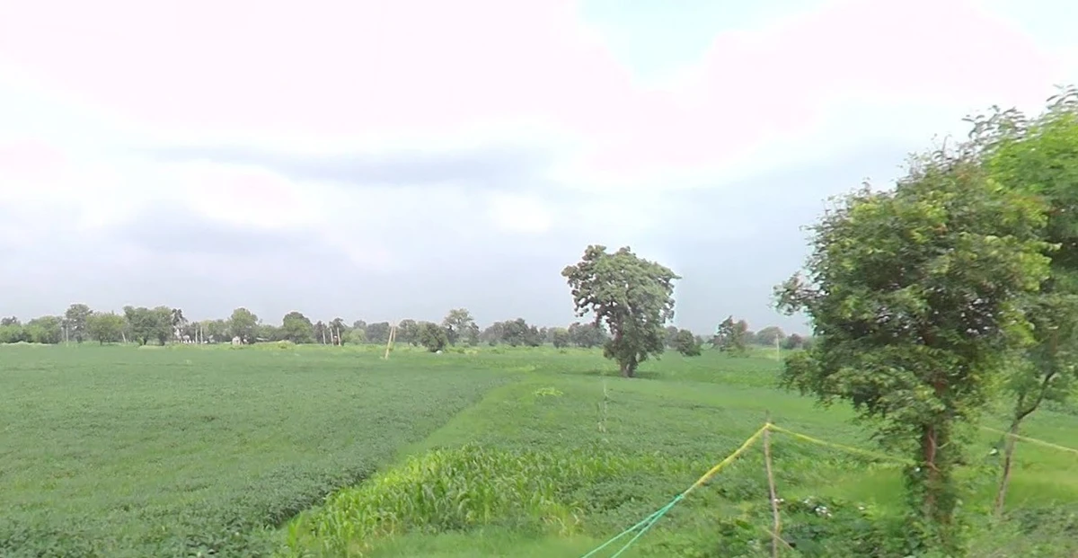 Chichli, Madhya Pradesh 487770, India