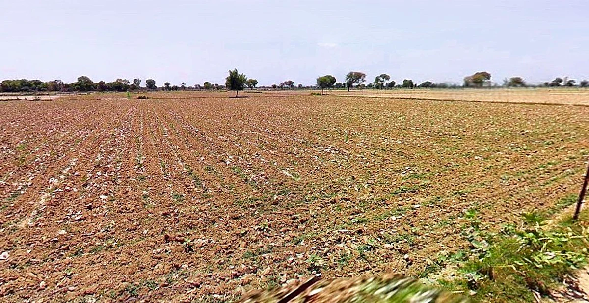 Hasanpur, Uttar Pradesh 244241, India