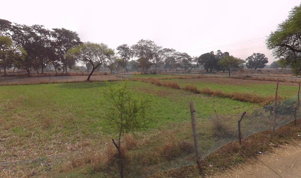 Jondhra, Chhattisgarh, India