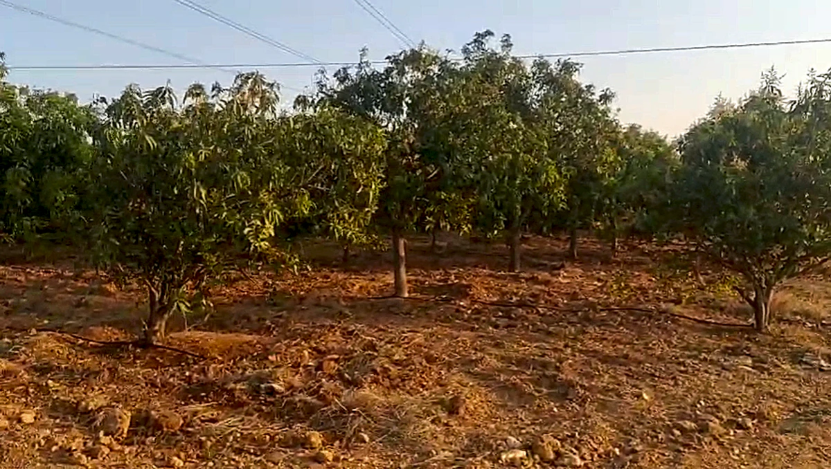 4GQ9+VX Kogira, Andhra Pradesh, India