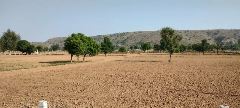 Kerwawal, Rajasthan, India