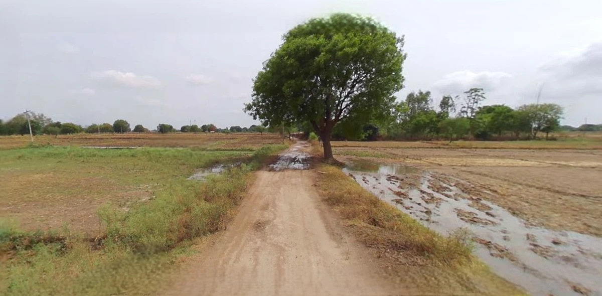 Budaun, Uttar Pradesh 243601, India