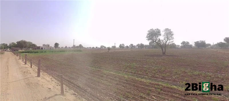 Surdhana Pariharan, Rajasthan 334201, India