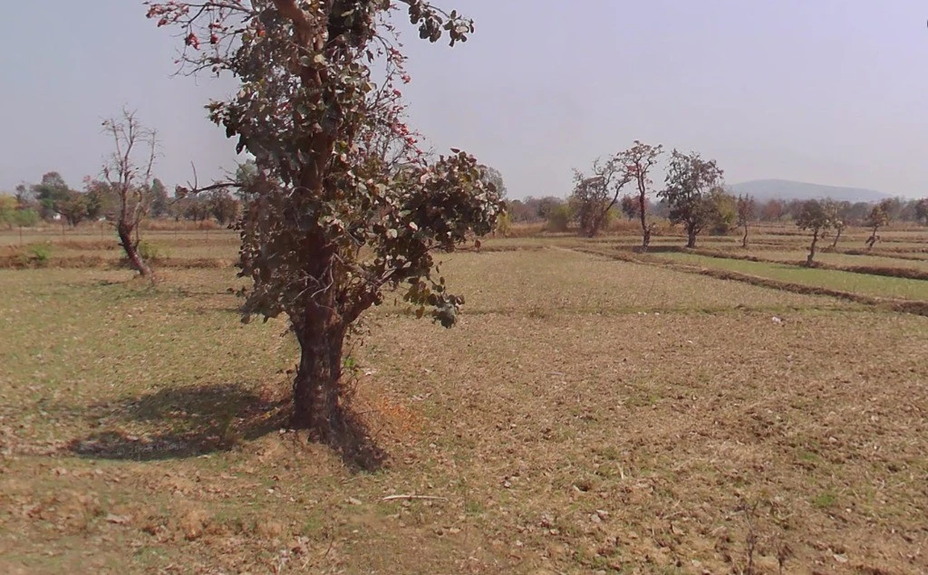 Patewa, Chhattisgarh 493551, India