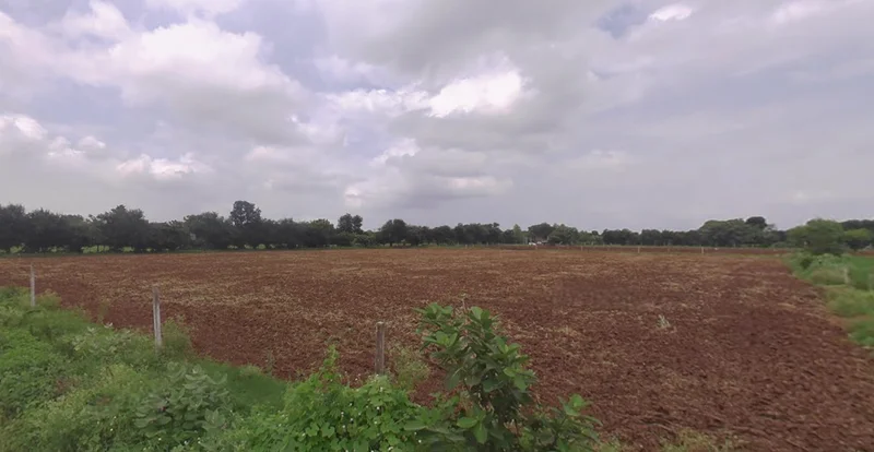 Agricultural Land in Sanand/chekhla, Ahmedabad