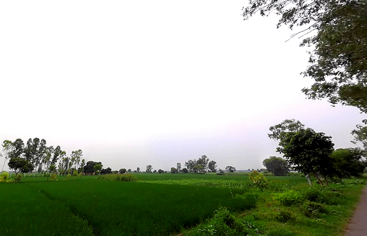 Shahpur, Haryana 132107, India