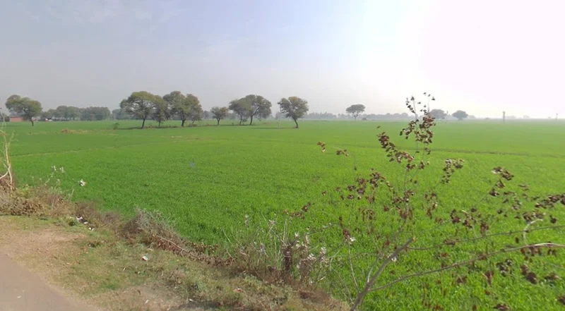 Musahari, Madhya Pradesh 475220, India preview 2