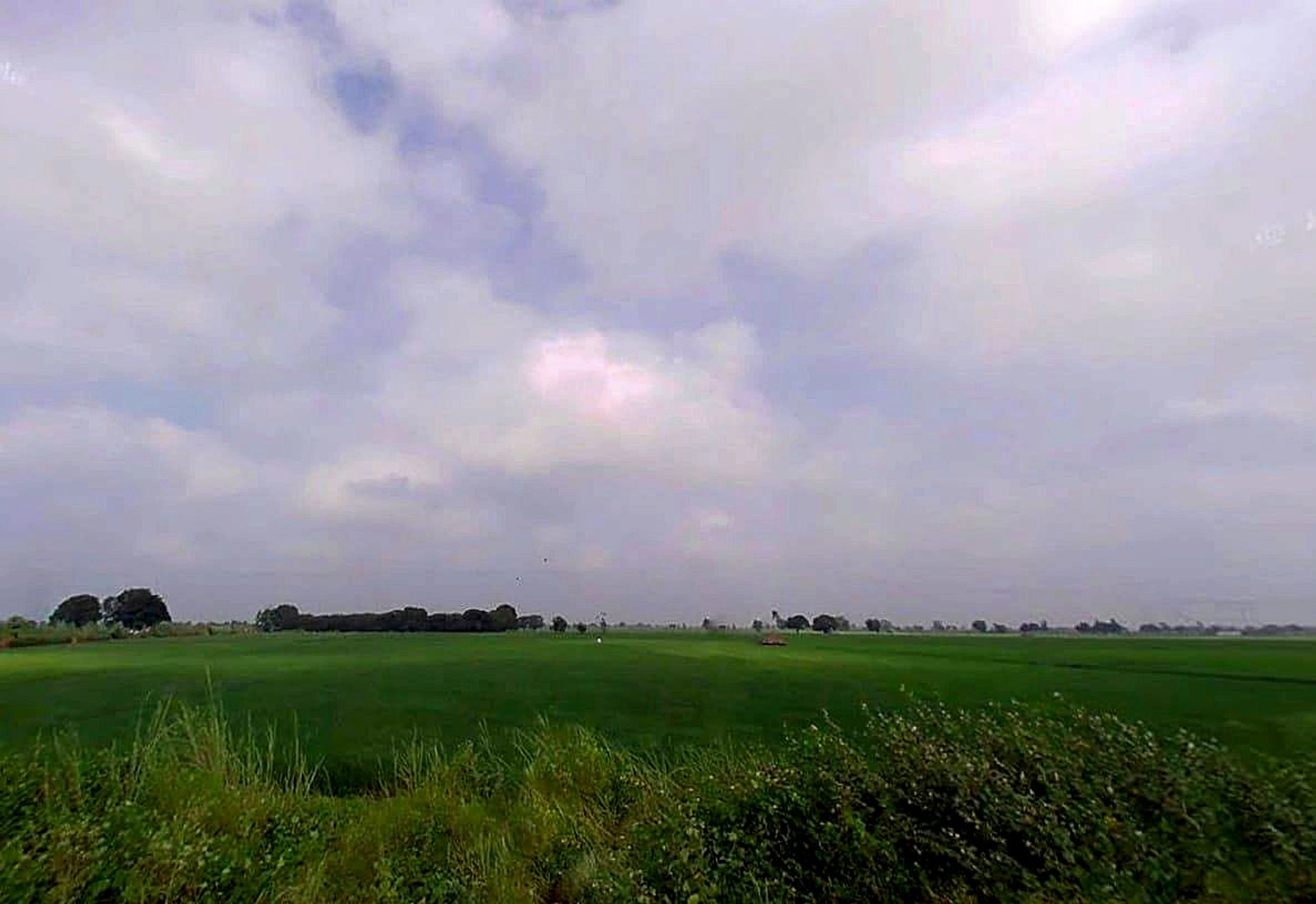 5J72+X3R, Kishorpur, Uttar Pradesh 203155, India