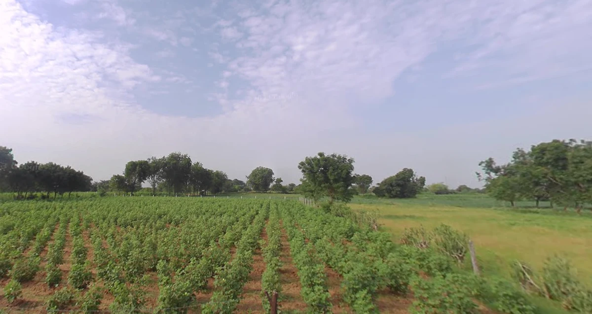 7WF9+98 Sawali bk, Maharashtra, India