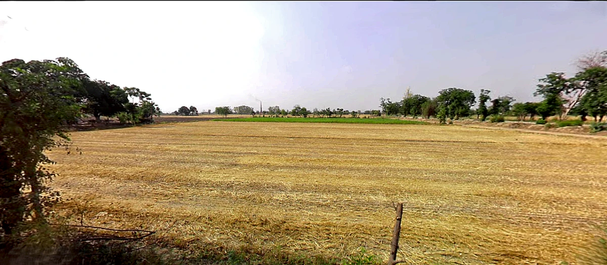 Tibbi, Haryana 134204, India