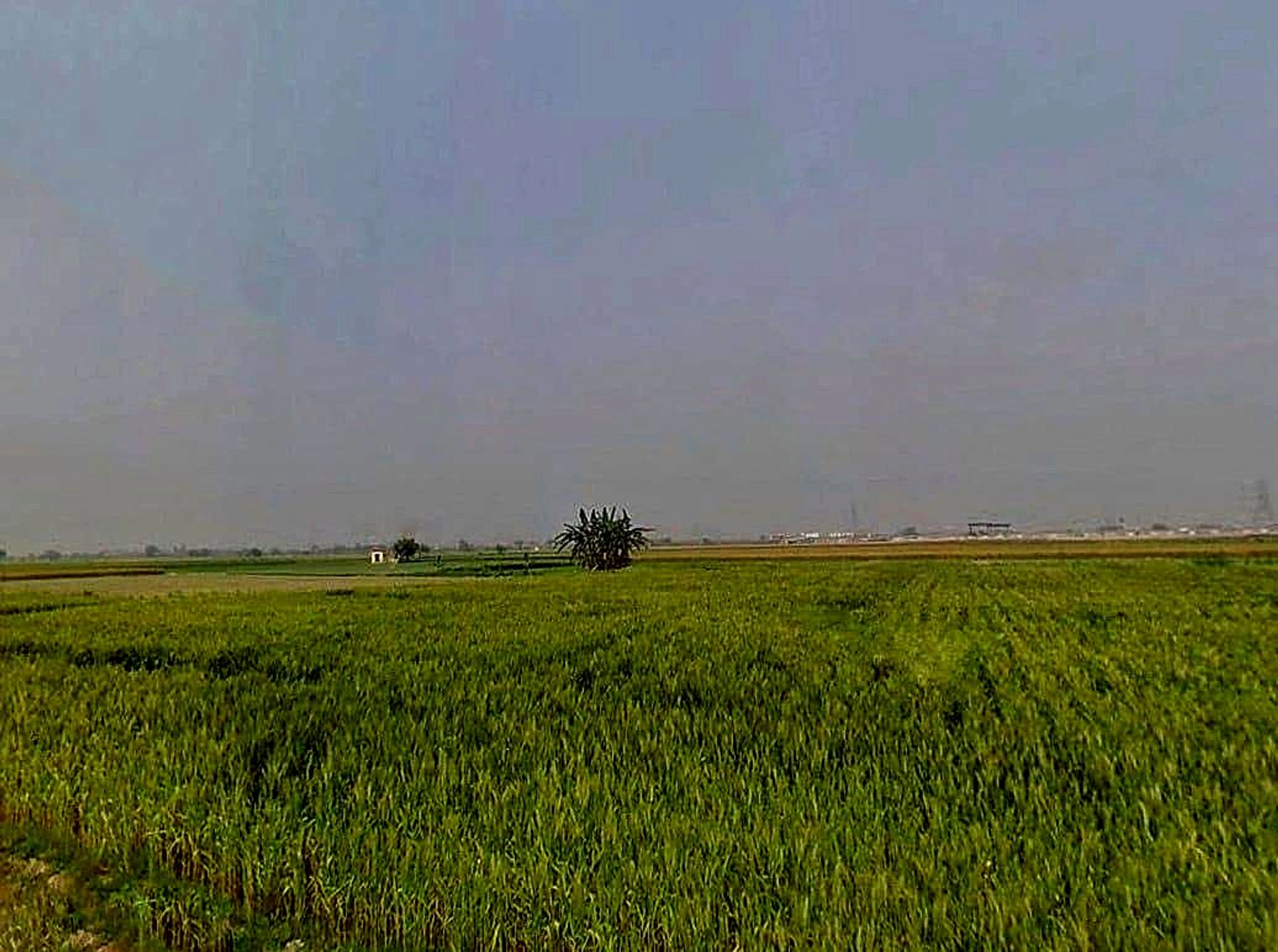 6QRQ+2Q, Bargaon, Rajasthan 324008, India