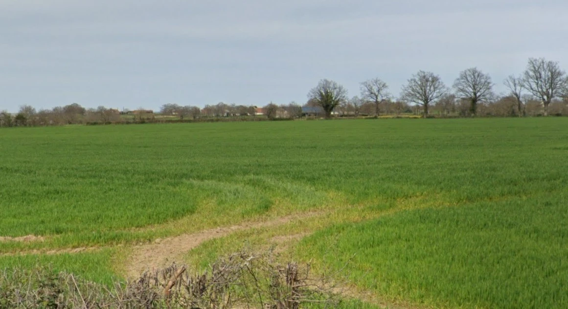 Pipalgone, Madhya Pradesh 451228, India