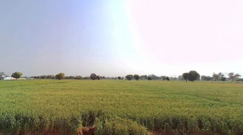 Kherli, Rajasthan 321606, India