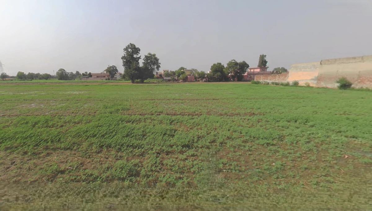 Dakoha, Rama Mandi, Jalandhar, Punjab 144005, India