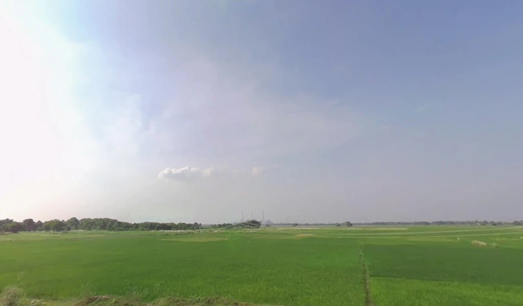 Bihari Bigha, Bihar 803214, India