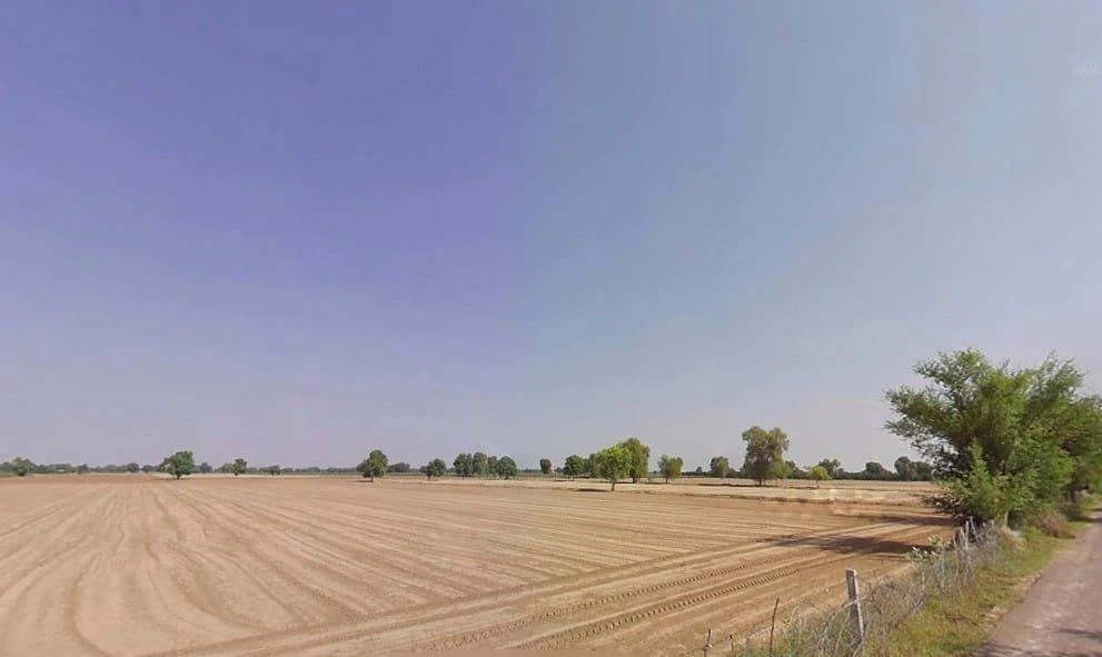 Sardarpura Jeevan, Rajasthan 335037, India