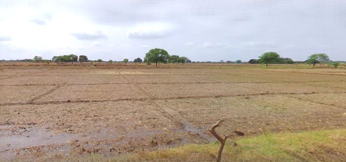 Budaun, Uttar Pradesh 243601, India