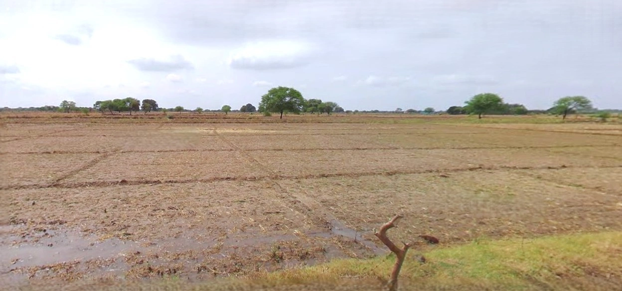 Budaun, Uttar Pradesh 243601, India