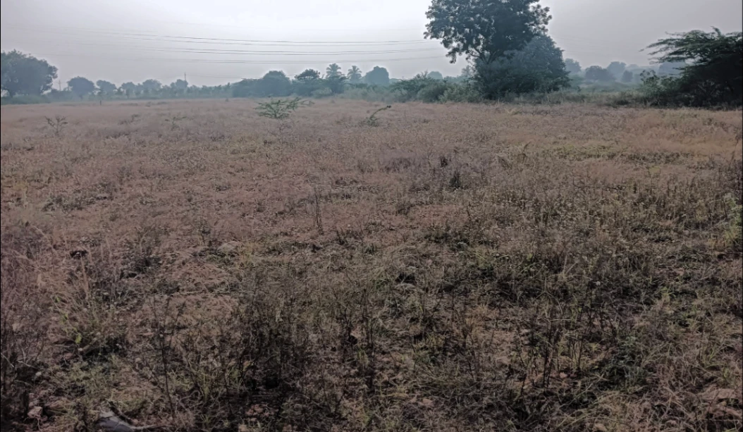 Hiriyur, Karnataka, India