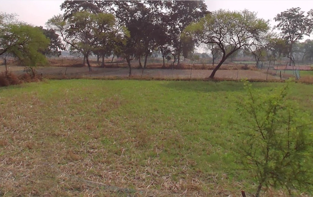 Jondhra, Chhattisgarh, India