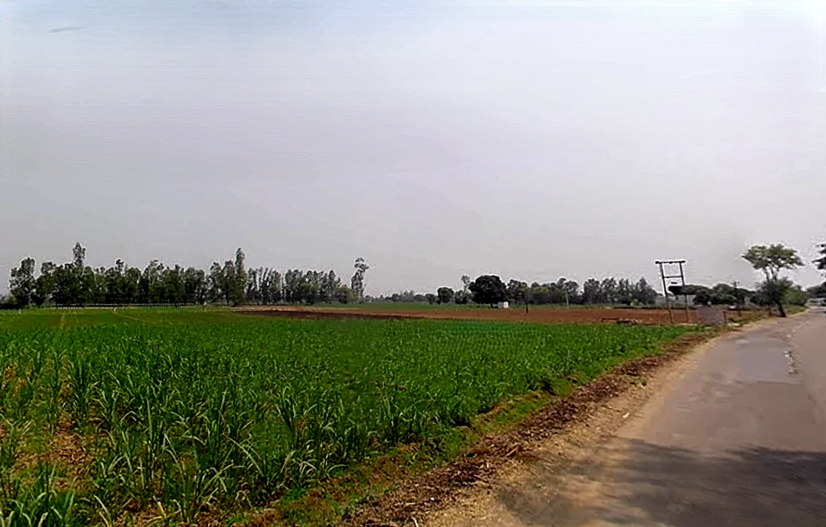 Kithaur, Uttar Pradesh 250104, India