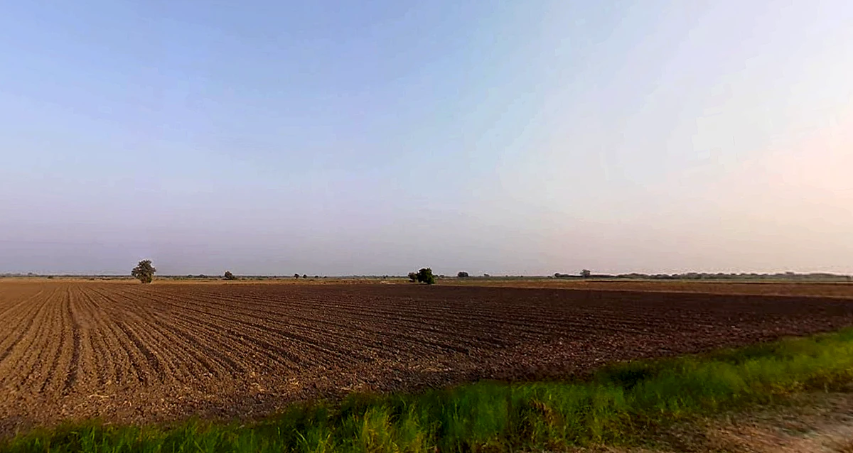 Godhavadar, Gujarat 365535, India