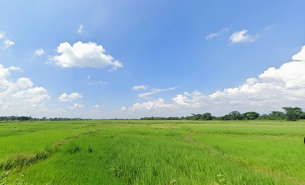 Agricultural Land in Katwan,kharsawan, Seraikela-kharsawan