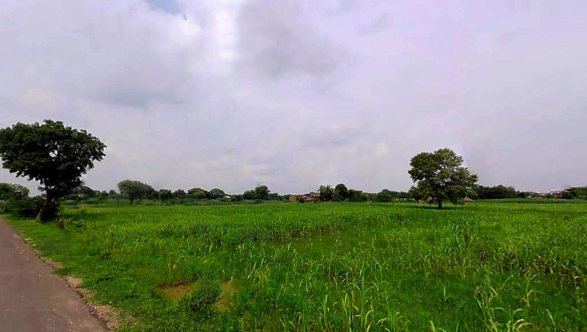 Jurhera, Rajasthan 321023, India