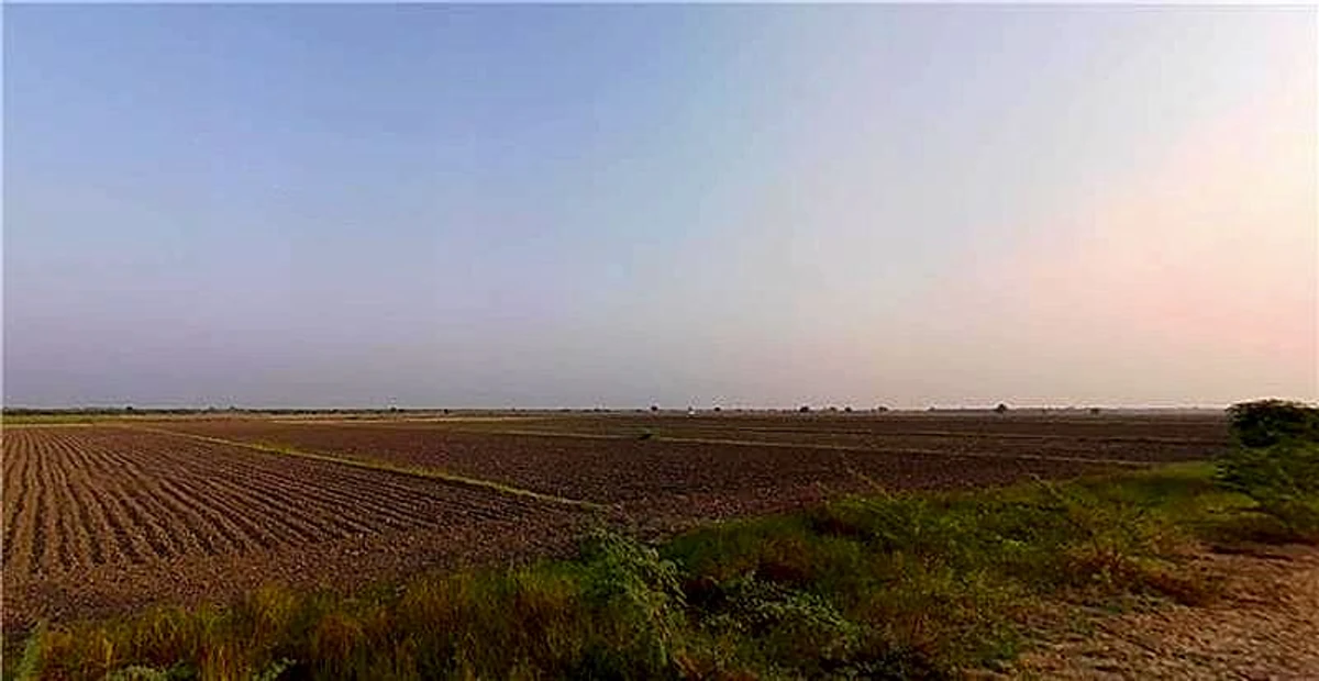 Ambaliyara, Gujarat 382225, India