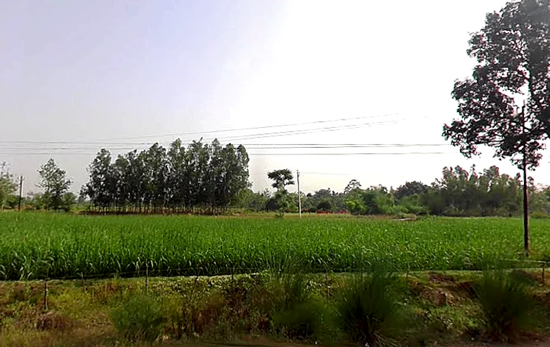 Sidhauli, Uttar Pradesh, India preview 2